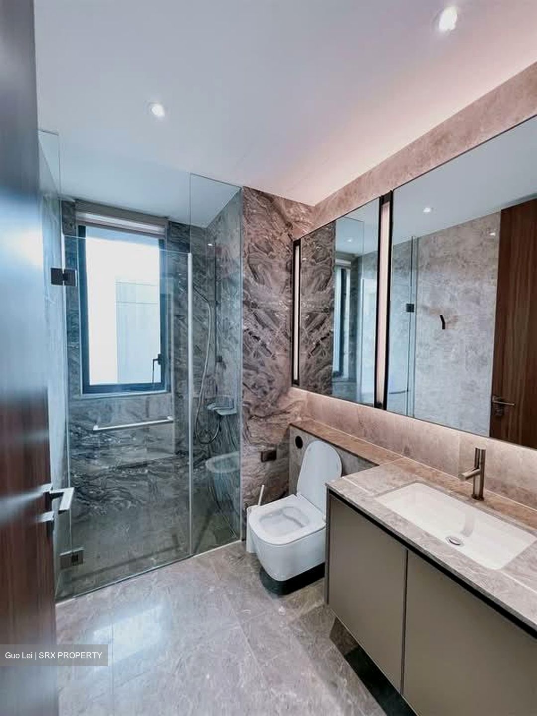 Leedon Green (D10), Condominium #527440041